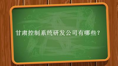 甘肅控制系統研發公司